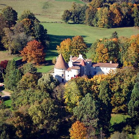 Chateau Des Martinanches Saint-Dier-d'Auvergne ภายนอก รูปภาพ