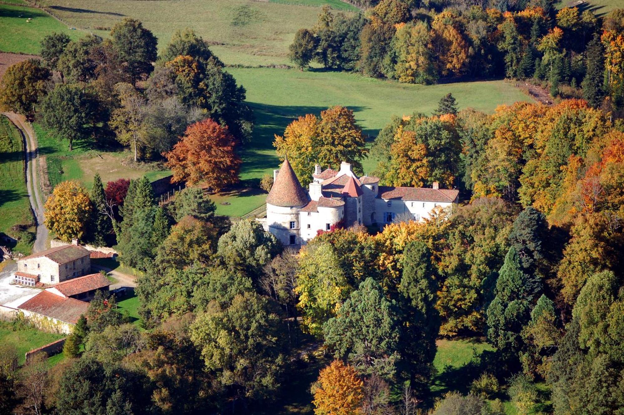 Chateau Des Martinanches Saint-Dier-d'Auvergne ภายนอก รูปภาพ