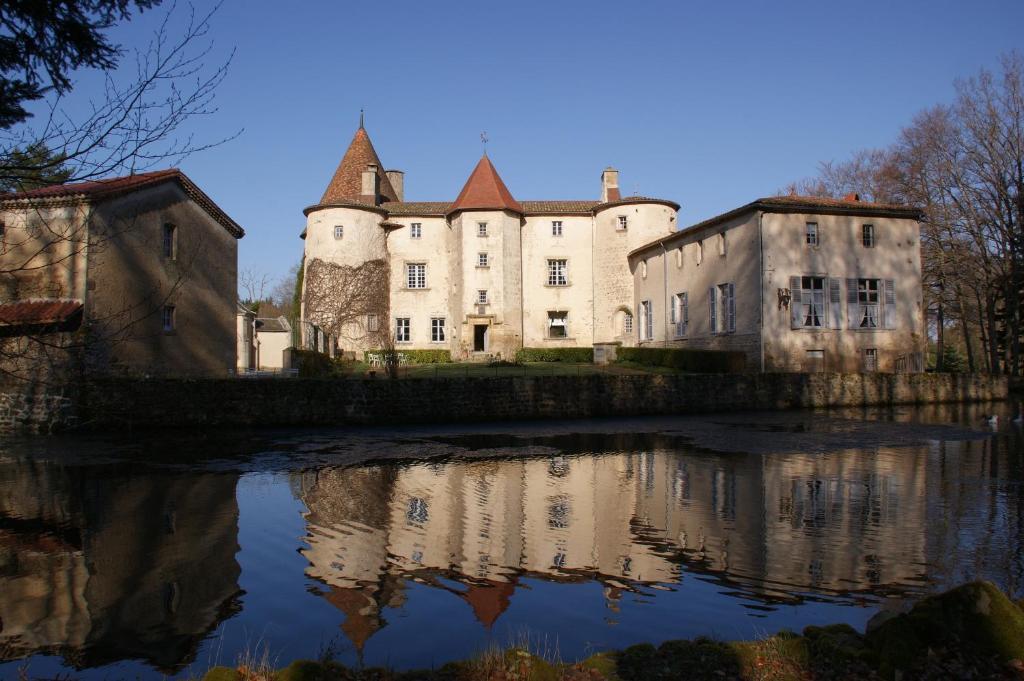 Chateau Des Martinanches Saint-Dier-d'Auvergne ภายนอก รูปภาพ
